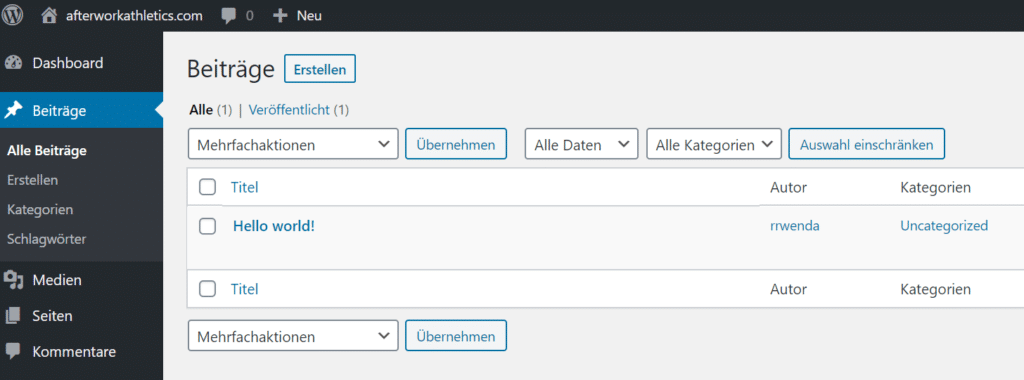 Blog Business WordPress Seiten und Beiträge